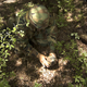 Image for article titled This rock could spy on you for decades